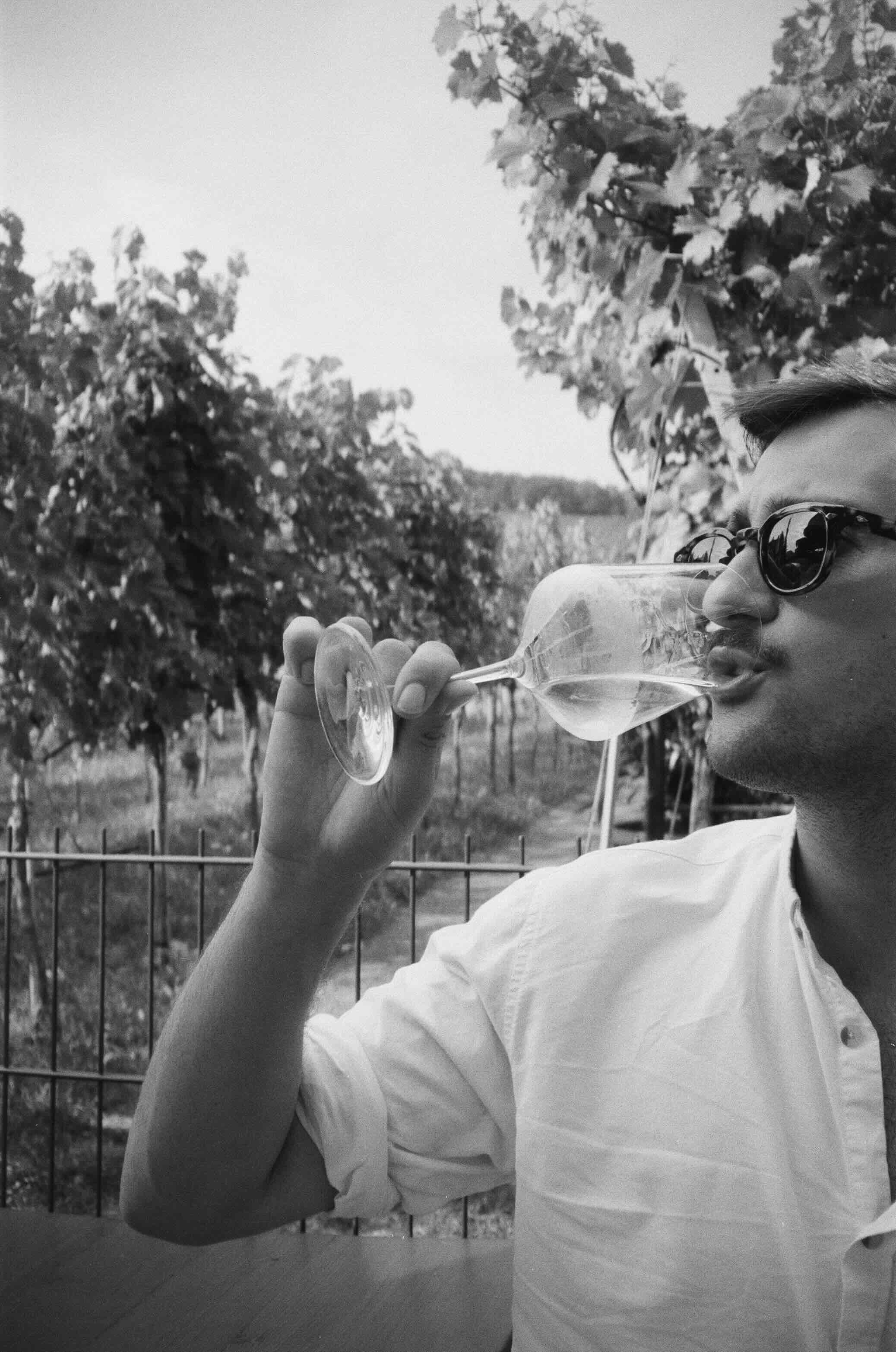 [describe the image]