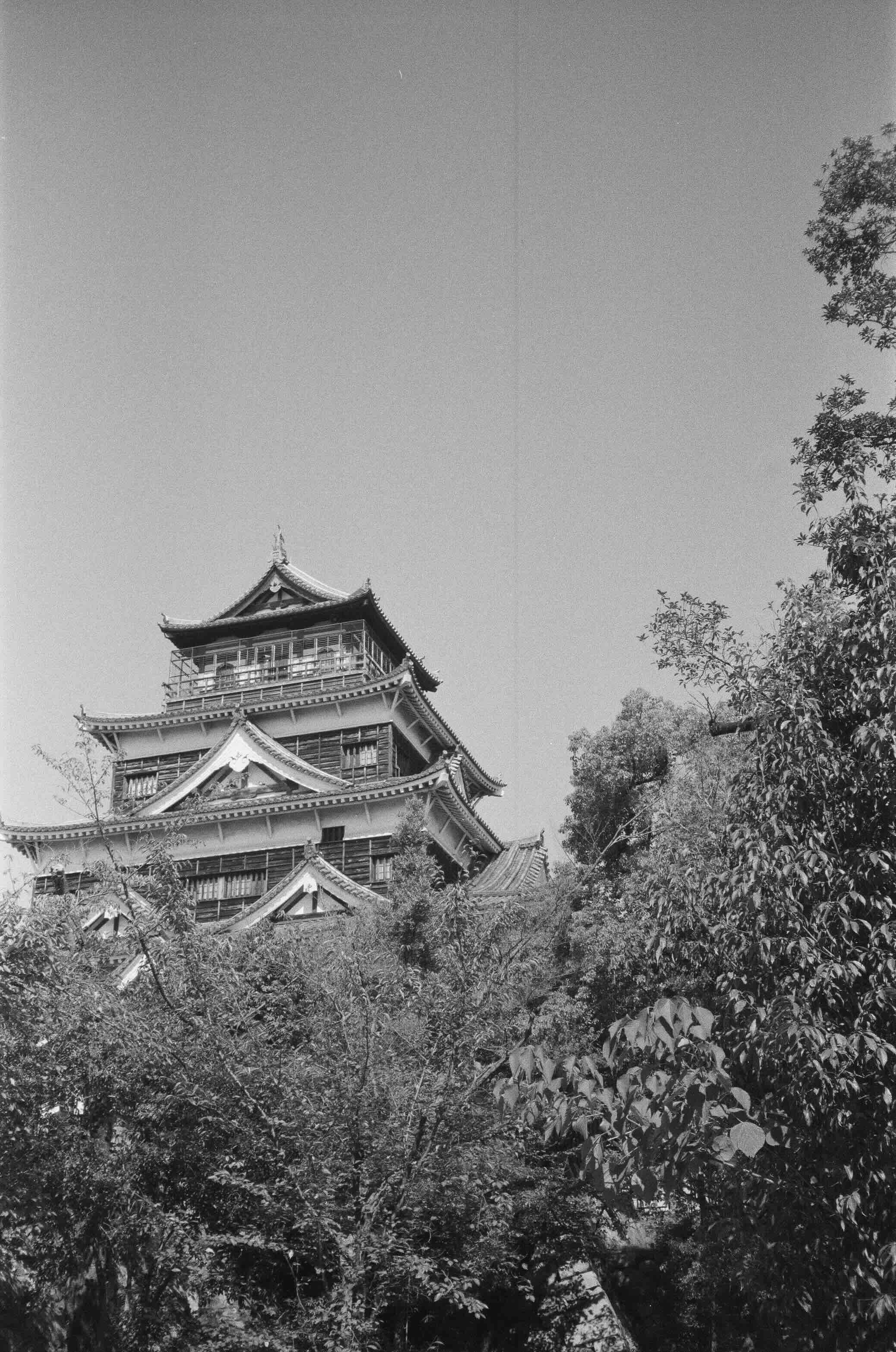 [describe the image]