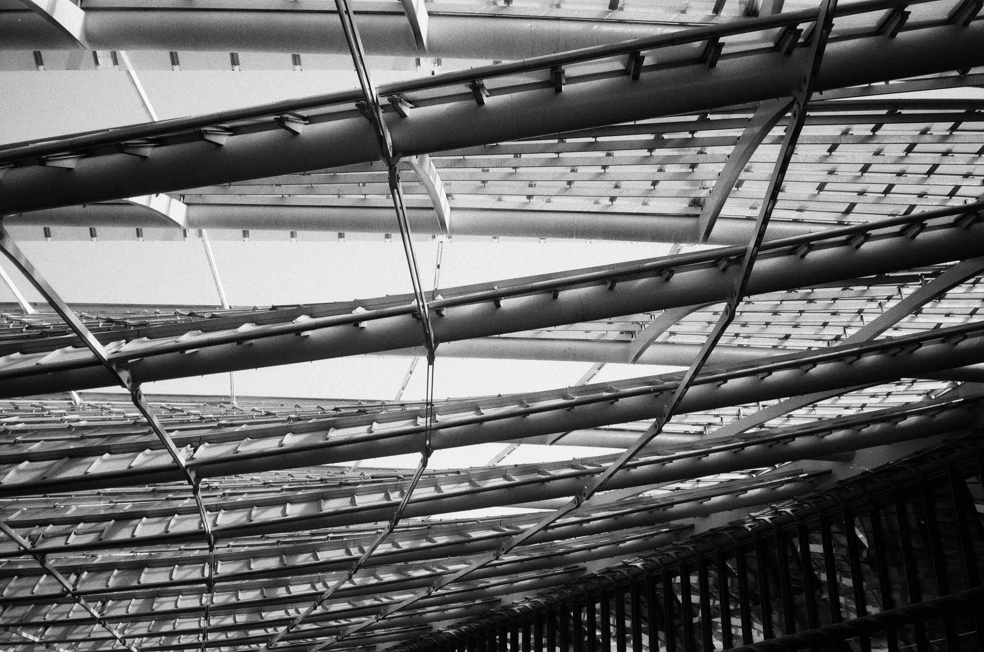 [describe the image]