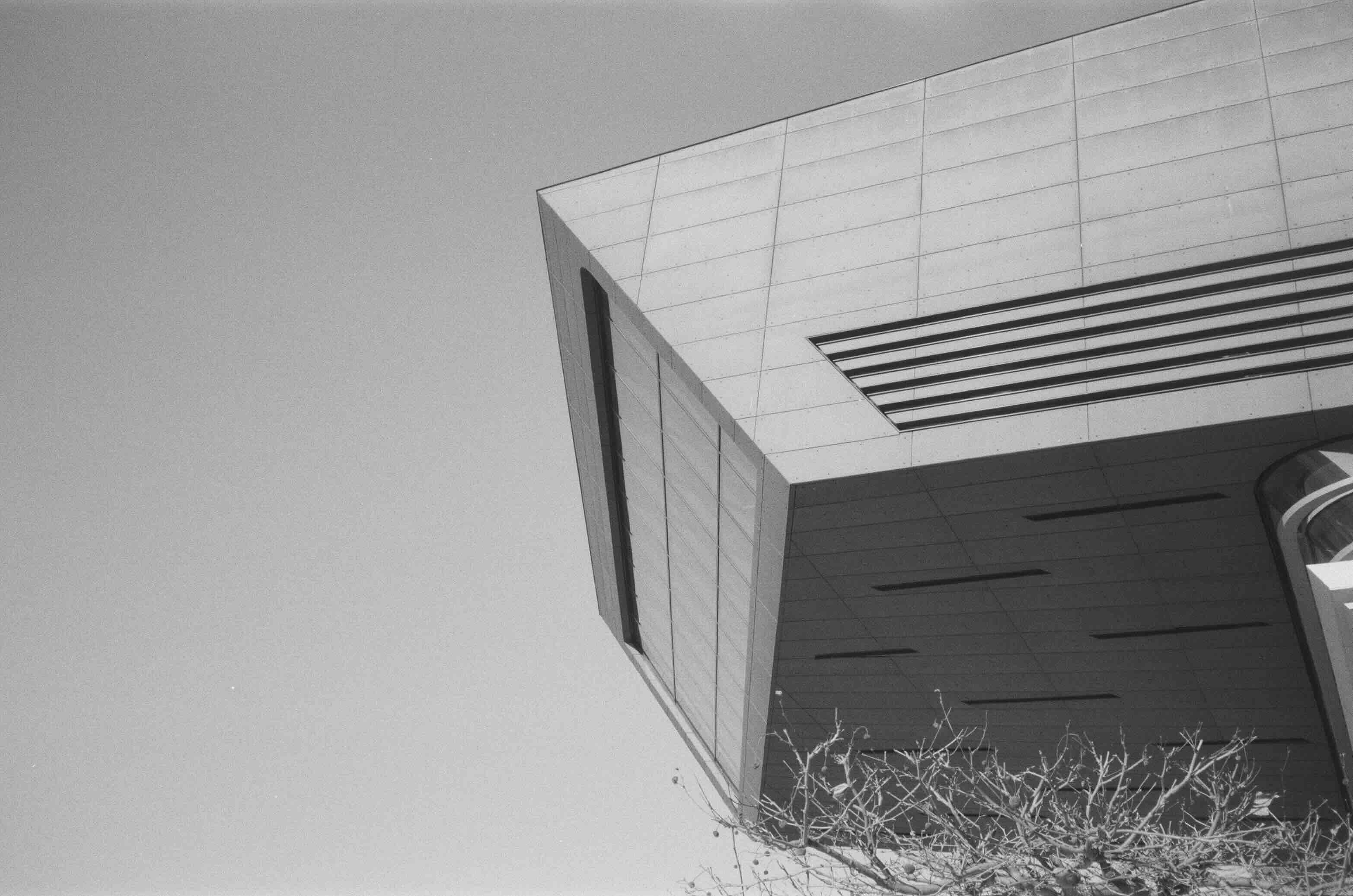 [describe the image]